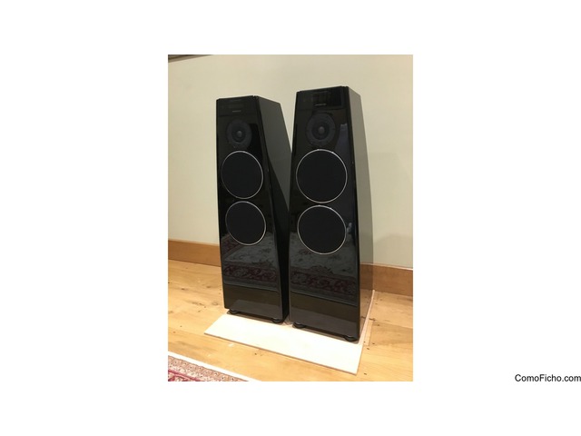 Meridian DSP5200SE Speakers