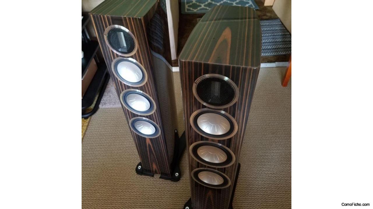 Monitor Audio GX200 (color ébano)