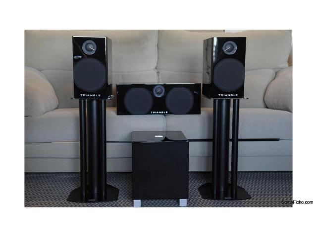 Trio Frontal Triangle y subwoofer REl T5i