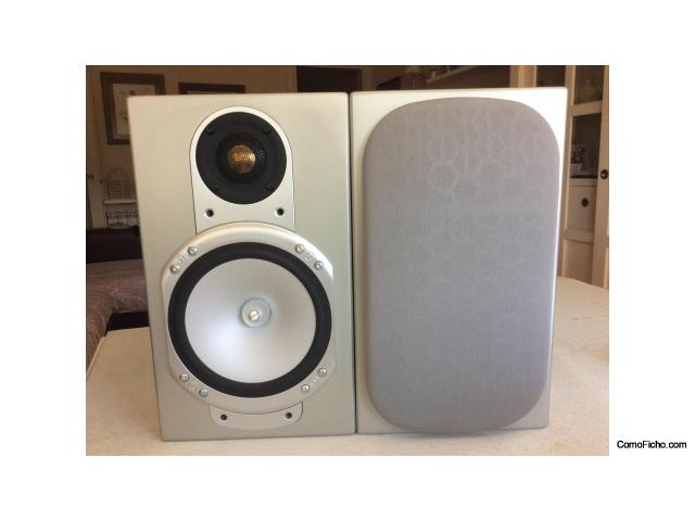 Monitor Audio RS1 Silver