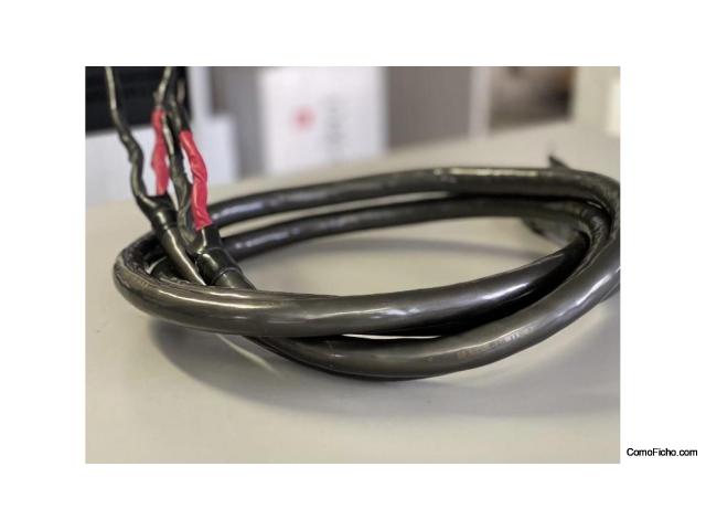 Sold - Audioquest Dragon Hyperlitz - Cables de Altavoz