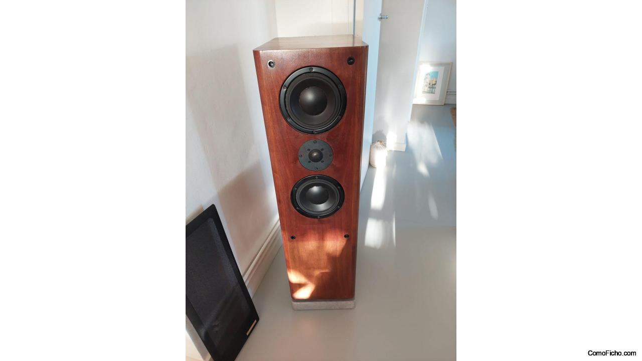 Speakers Hales Audio System Two Signature + Subwoofer Velodyne DD1000