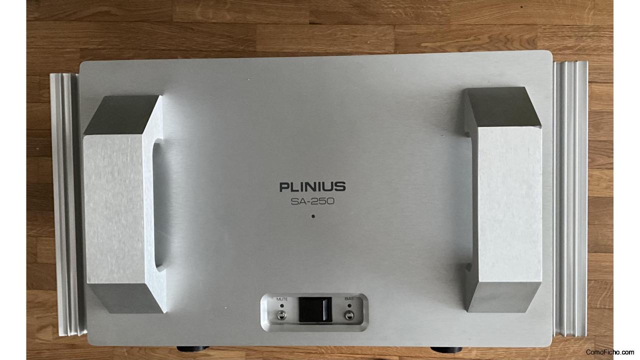 Plinius Sa-250 mk-IV stereo power amp
