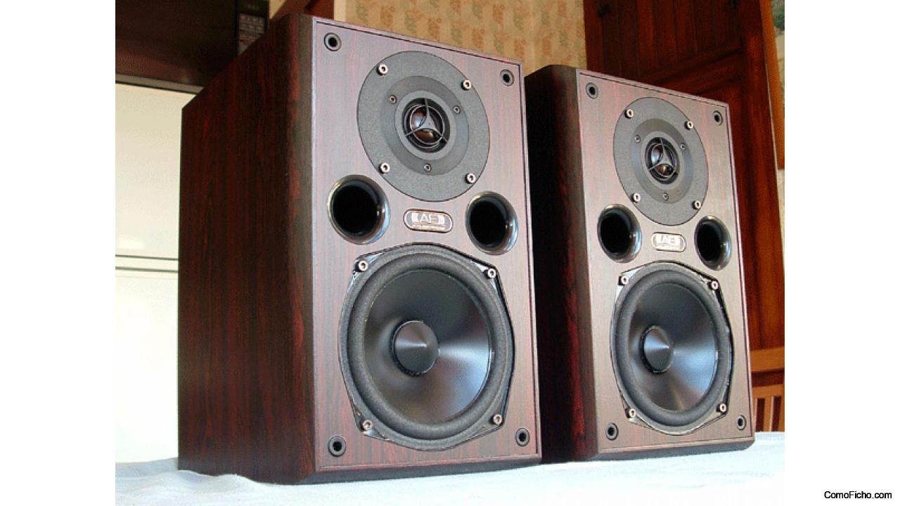 Altavoces Acoustic Energy AE200 Rosewood