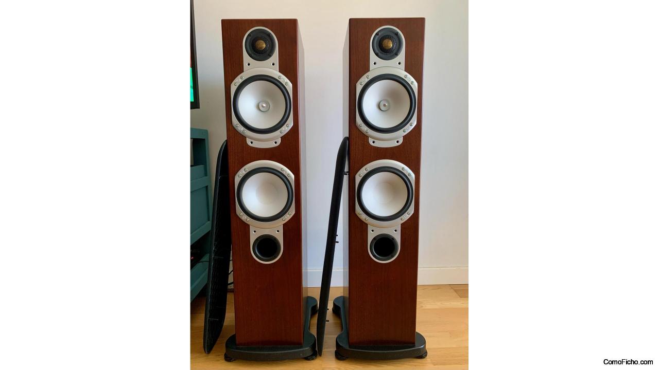 Monitor Audio Silver RS6-VENDIDOS