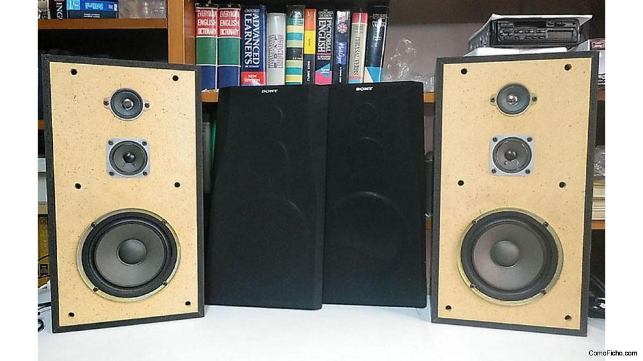 Altavoces Sony SS A 309