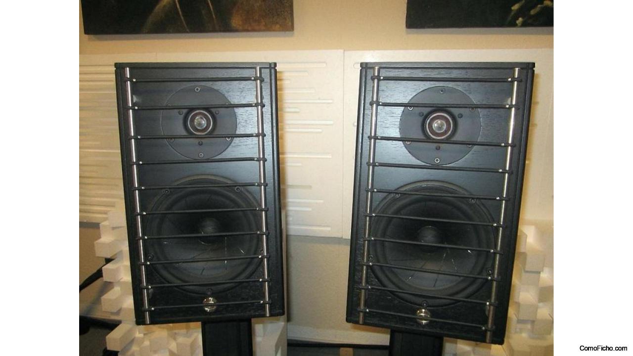 GamuT RS3i Speakers