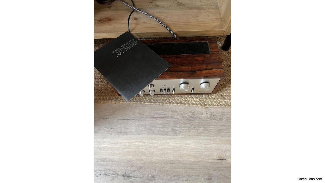 Luxman l-31