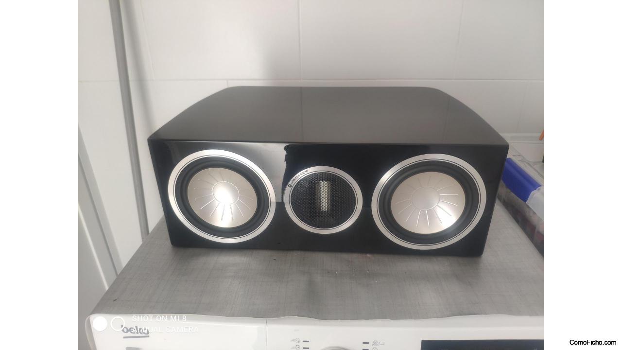 Central Monitor audio gold gx c150