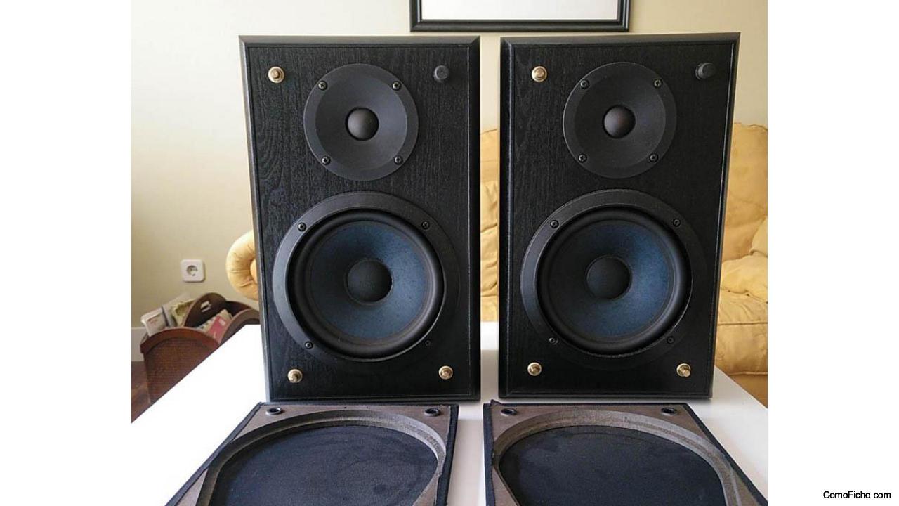 Altavoces Vieta PL 40. 2 vias. Reflex