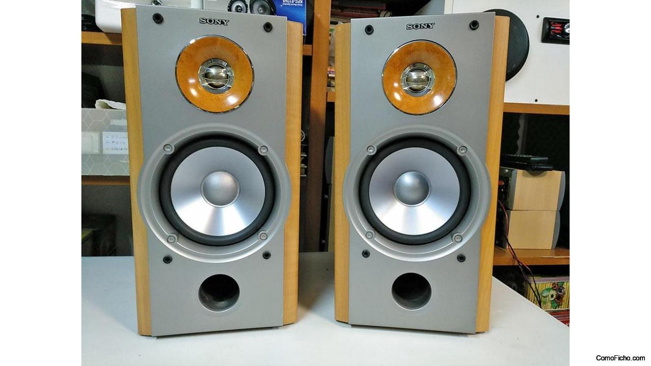 Altavoces Sony SS NX 1