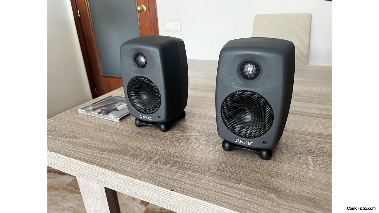 Genelec 6010a