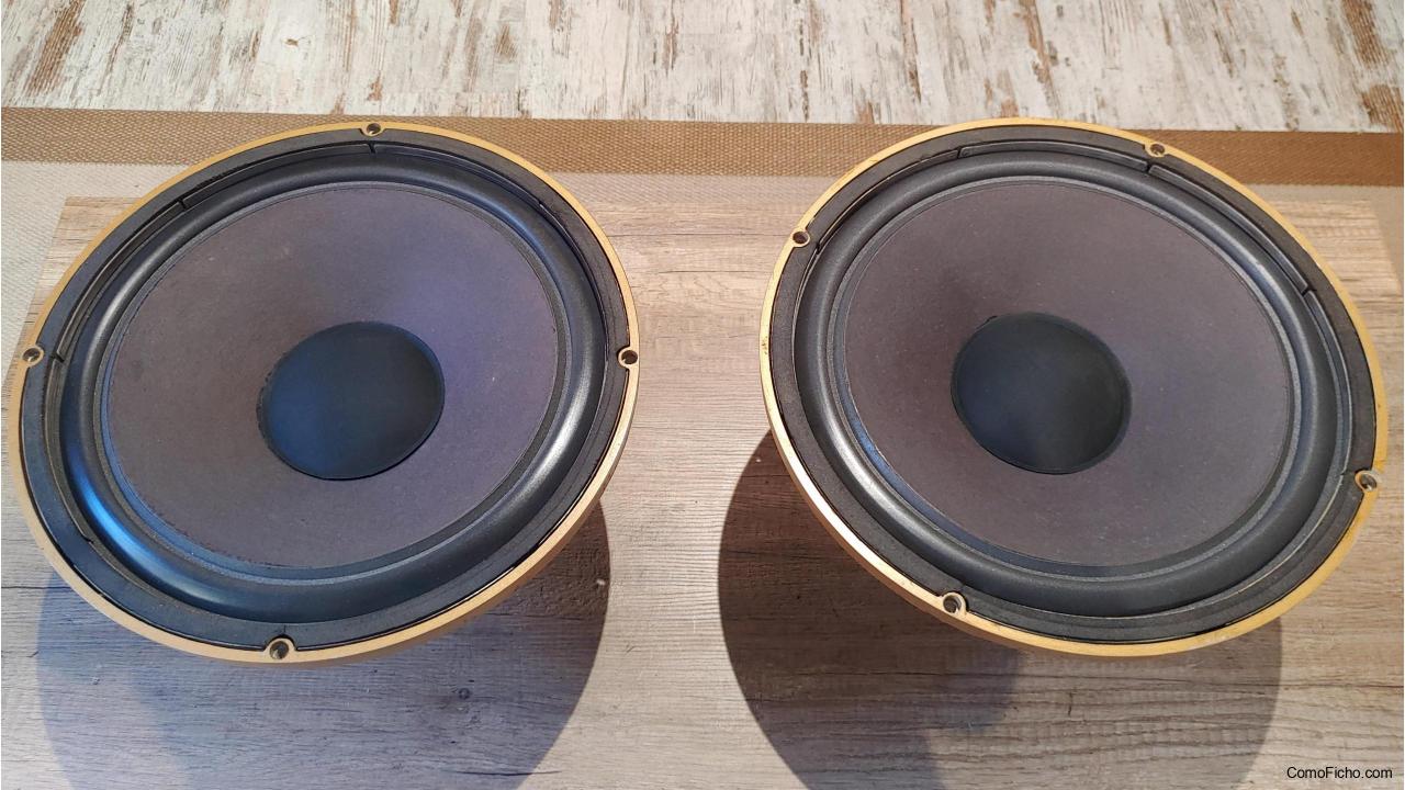 Altavoces TANNOY HPD 385