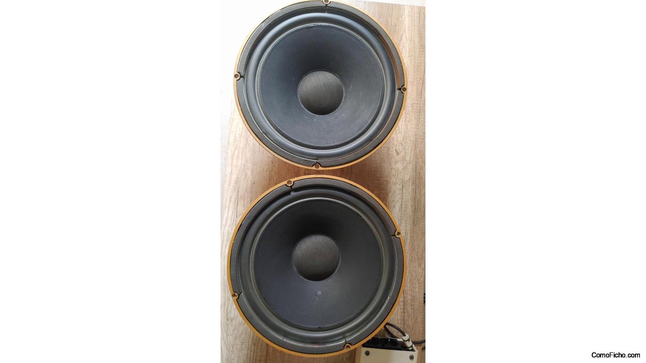 Altavoces TANNOY HPD 385