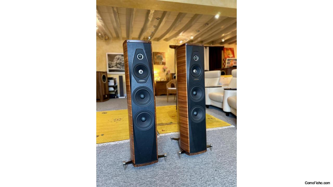 Pareja de sonus faber olympica 3