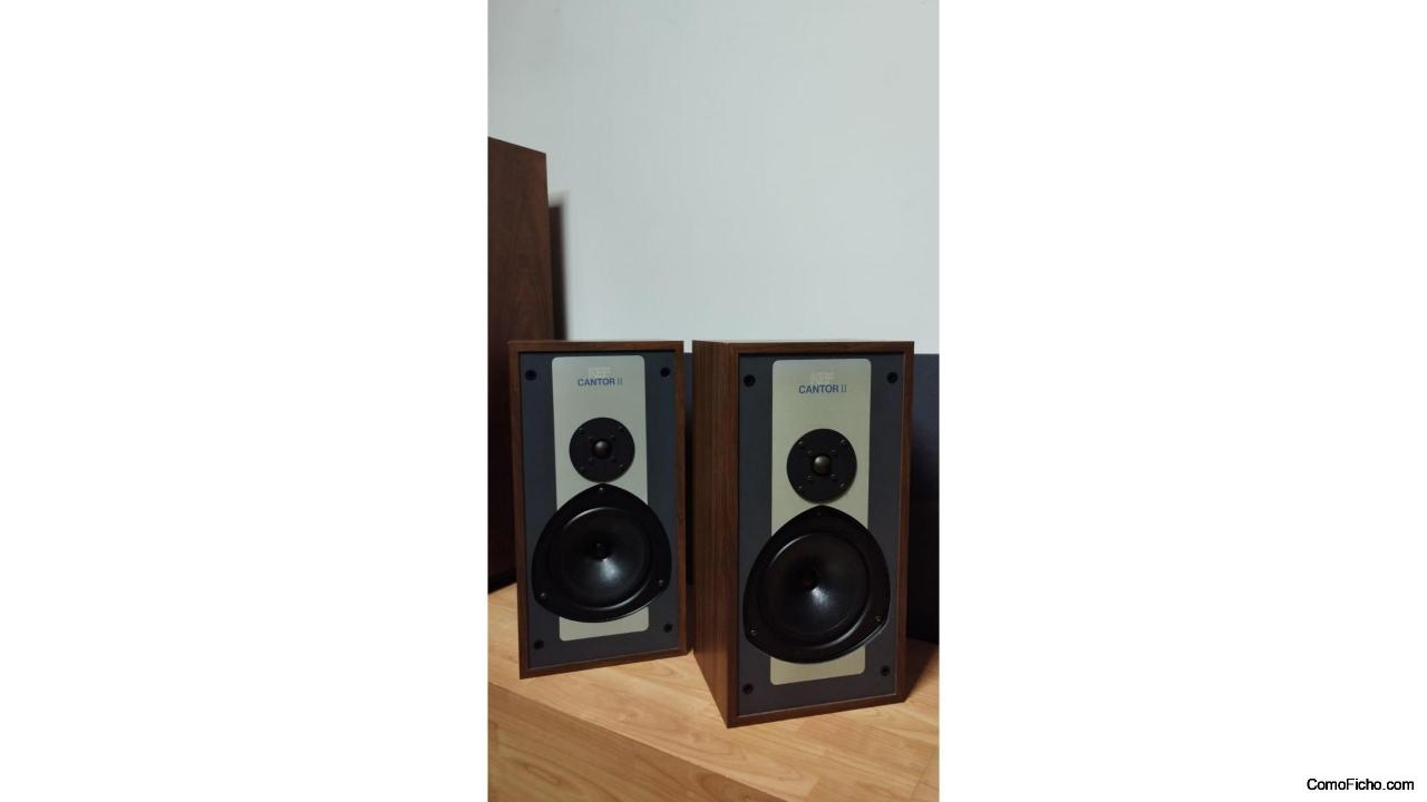 Altavoces KEF CANTOR II