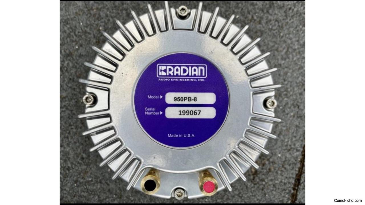 Nueva pareja RADIAN 950PB-8