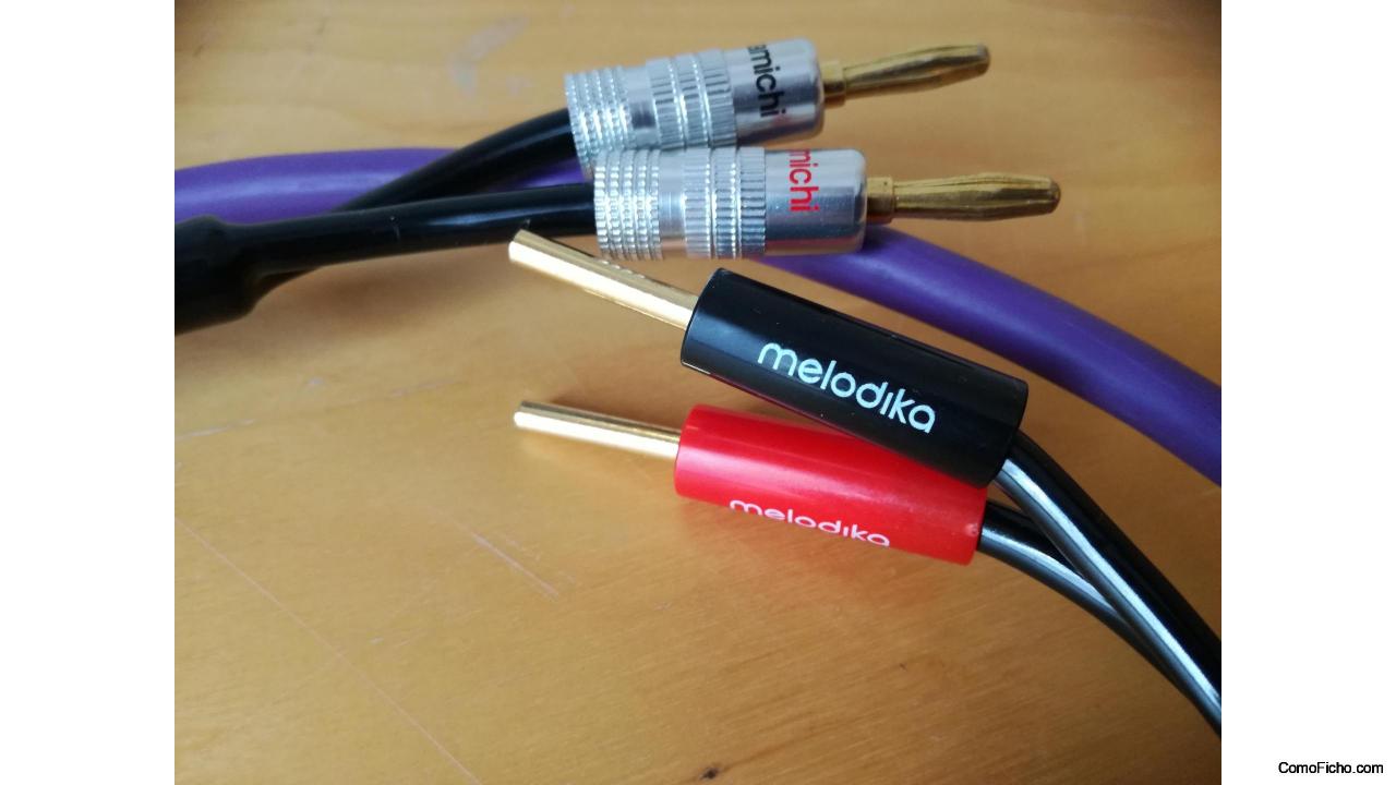 Cables altavoz Melodika 1,70m.