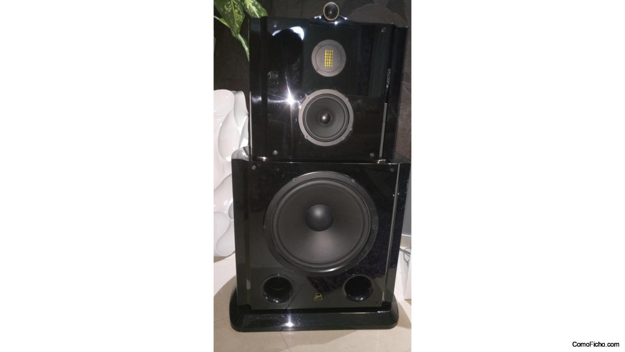 BAJADA DE PRECIO - Swans F5F+ serie Ultimate HI END