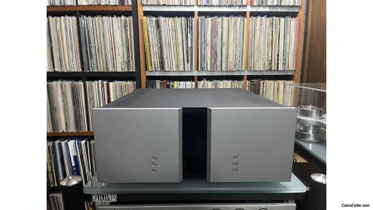 VITUS AUDIO RI 100