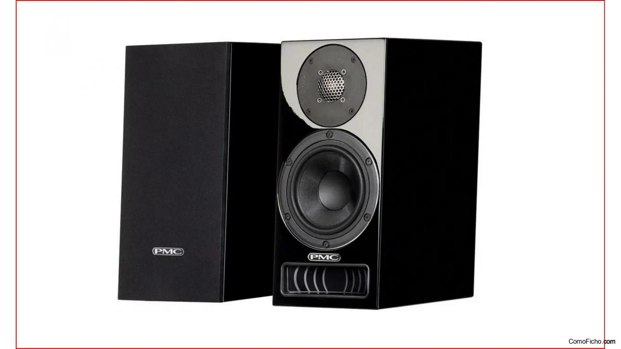 Altavoces monitor PMC Twenty5 22i