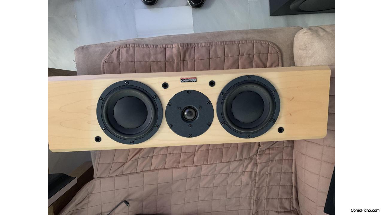 Central Dynaudio Focus 200 C Maple.