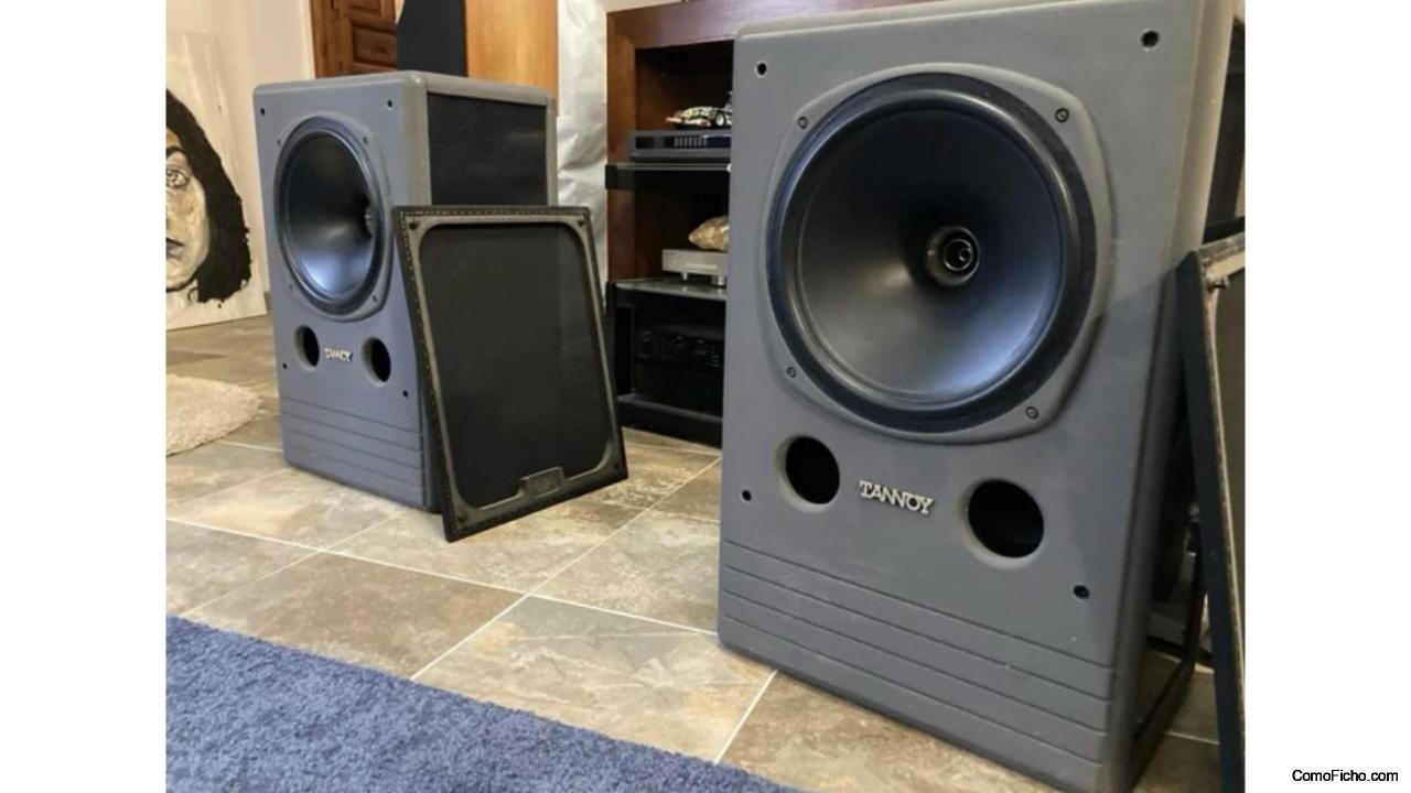 Tannoy System 12 DMT Altavoces