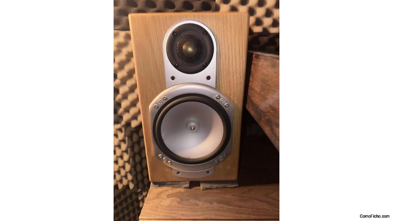 Monitor audio RS1 SILVER