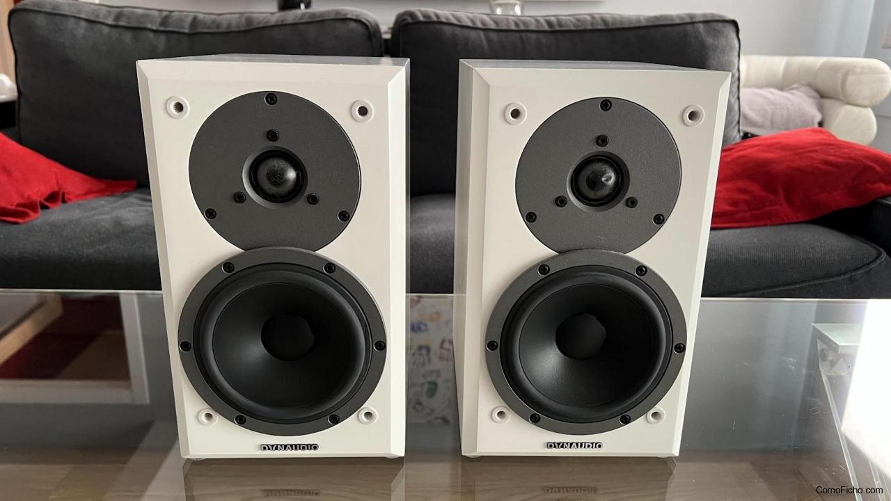 Dynaudio Emit M10 + Sf1