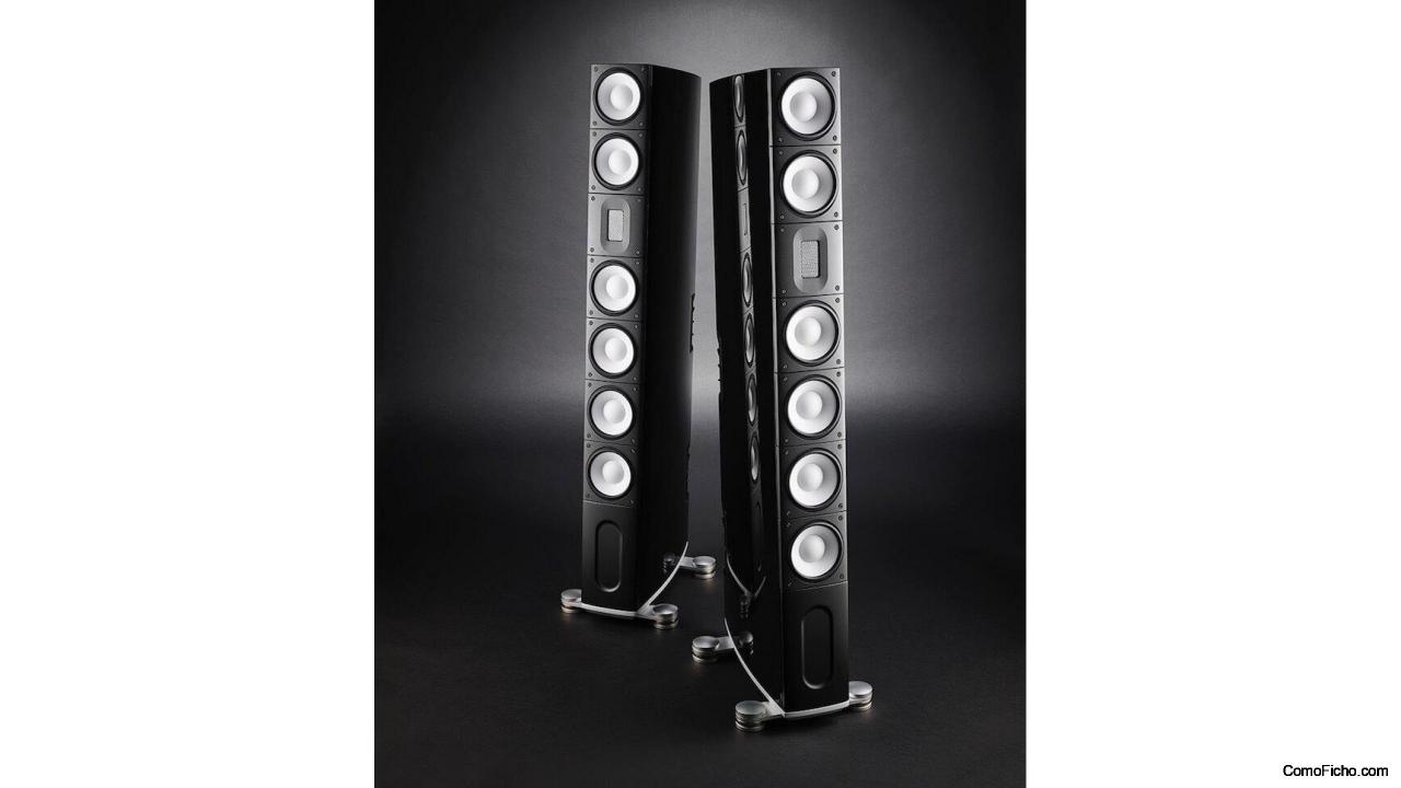 Altavoces Raidho X-5