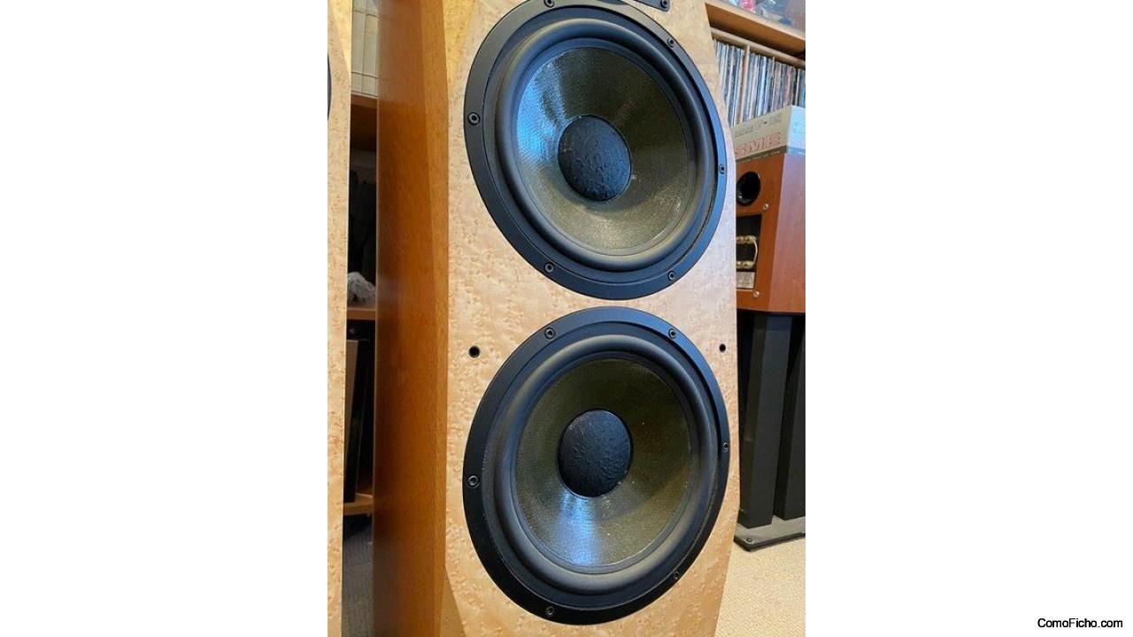 AVALON ACOUSTICS TIME