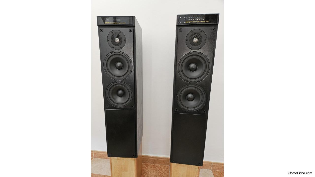 MERIDIAN DSP 5000(pasivo)