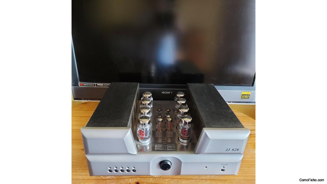 AMPLIFICADOR VALVULAS JJ 828