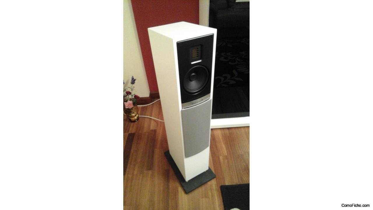 MARTIN LOGAN MOTION 20i