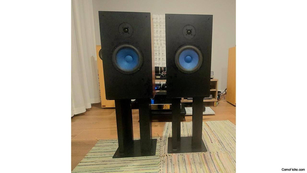 Vendo altavoces Audio Note AN J B HEMP