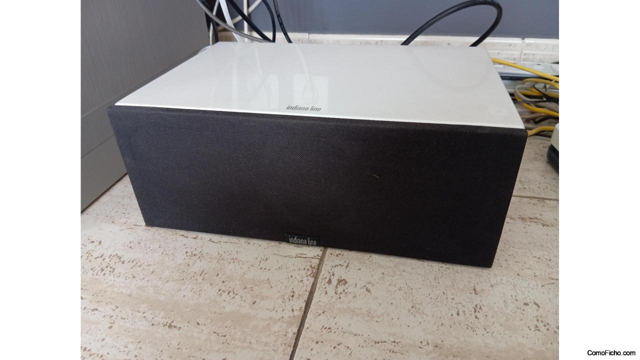 Altavoz medio tesi