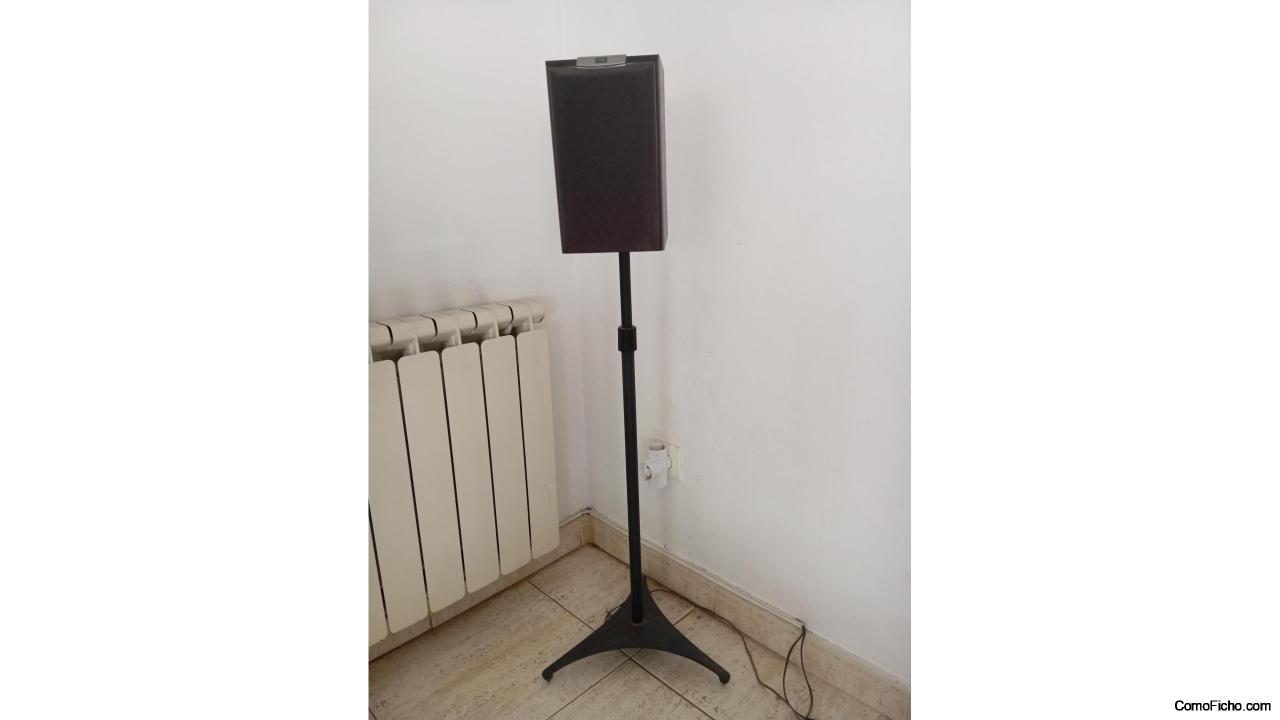 Pareja traseros JBL en madera negra
