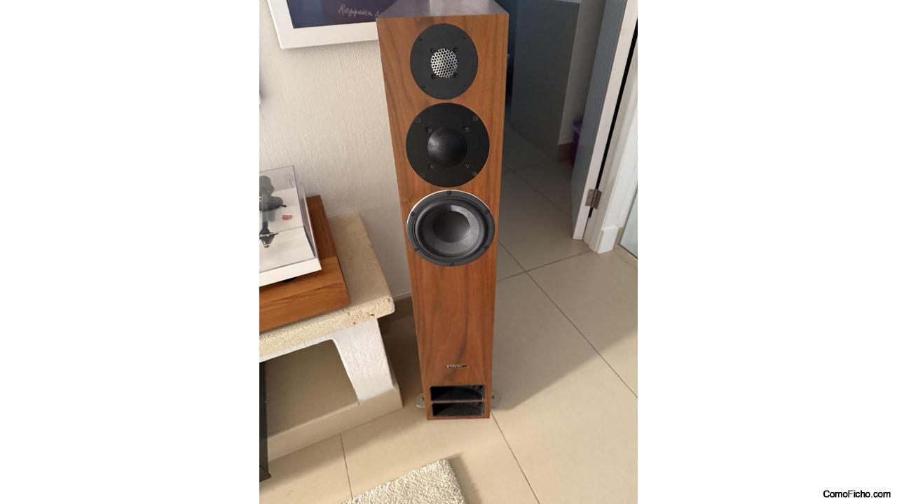 PMC Twenty 5.26, Advance Acoustic X A220 R-L y X  Preamp