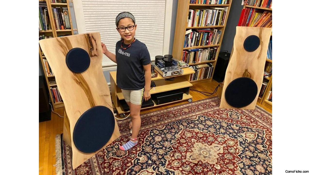 Open Baffle Live Edge Dipole Speakers with Active DSP by Live Edge Acoustics