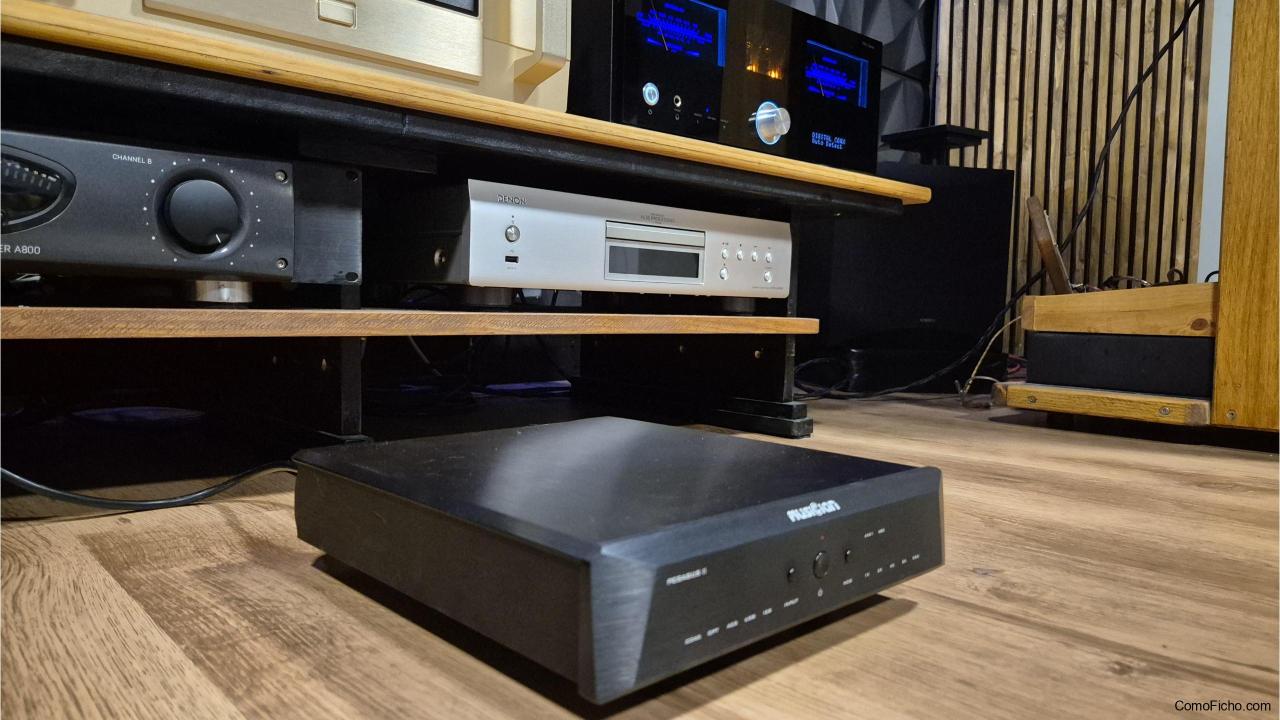 Dac R2R musician PEGASUS II