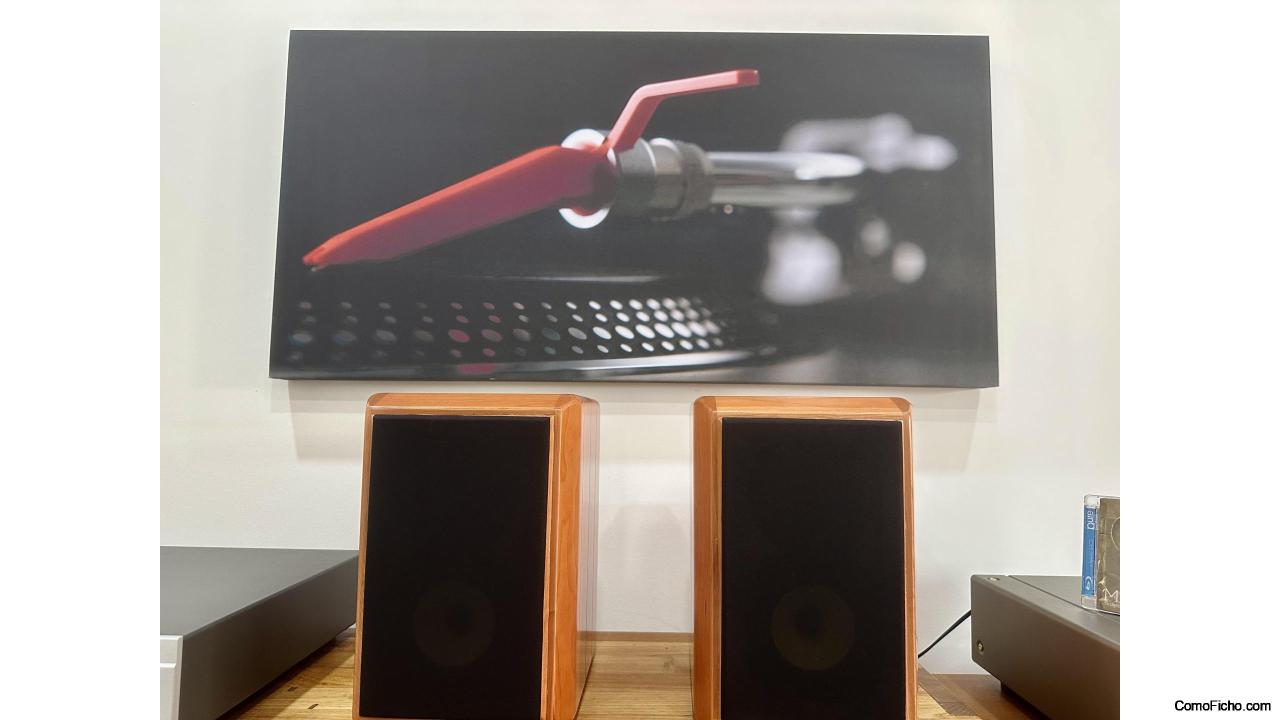 HIVI Swan M1