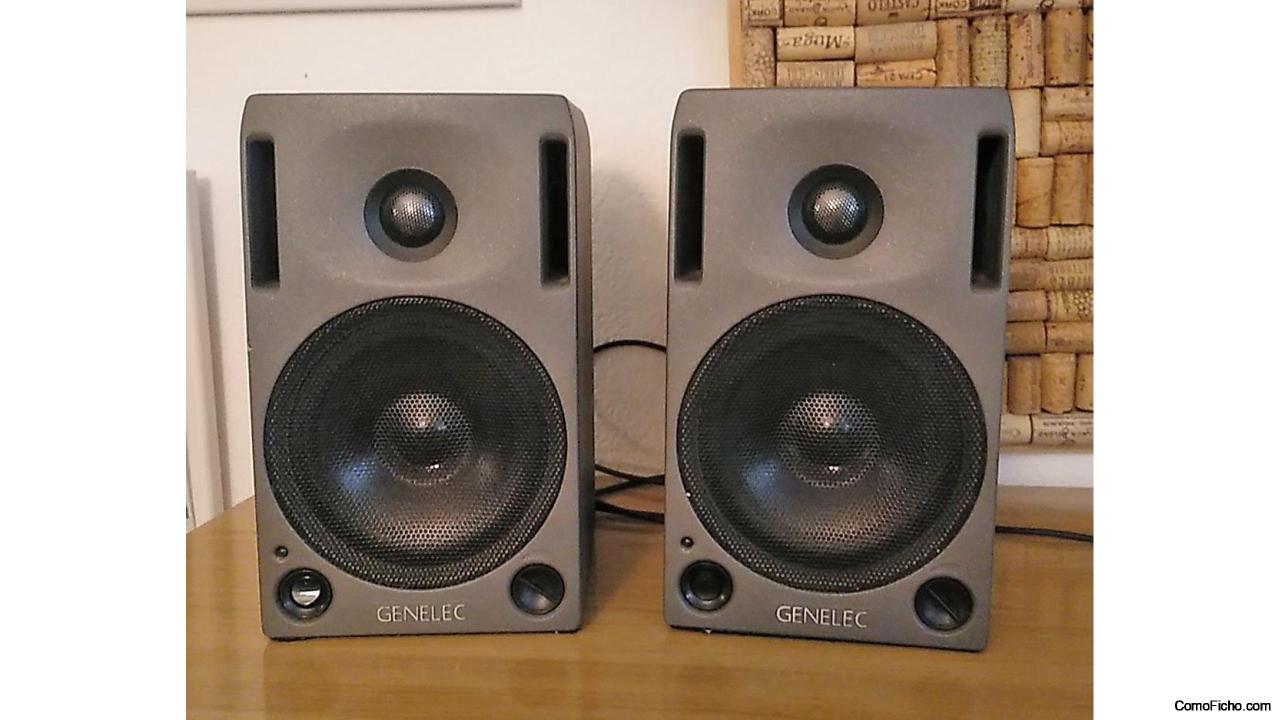 Monitores de estudio Genelec 1029 A