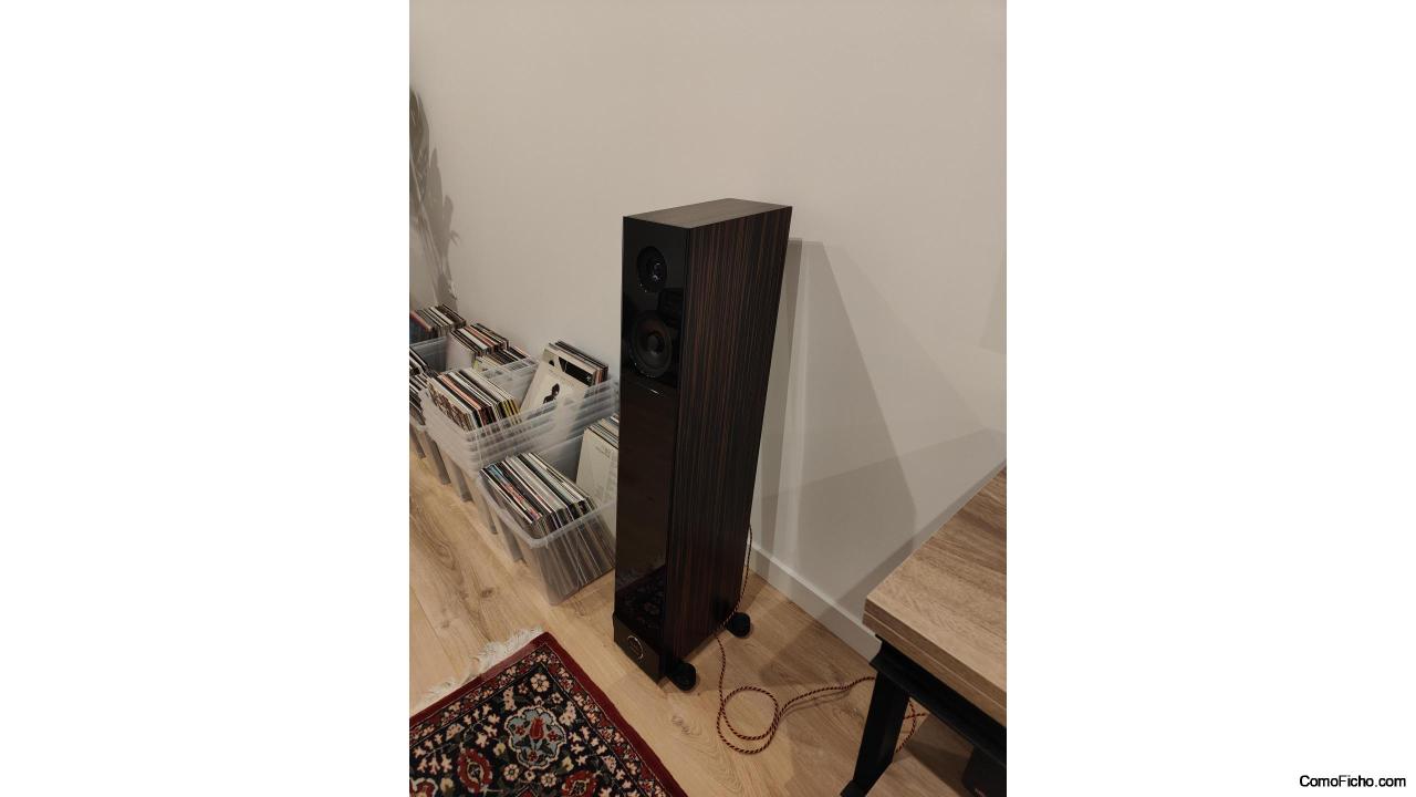 Audio Physic Avanti 8