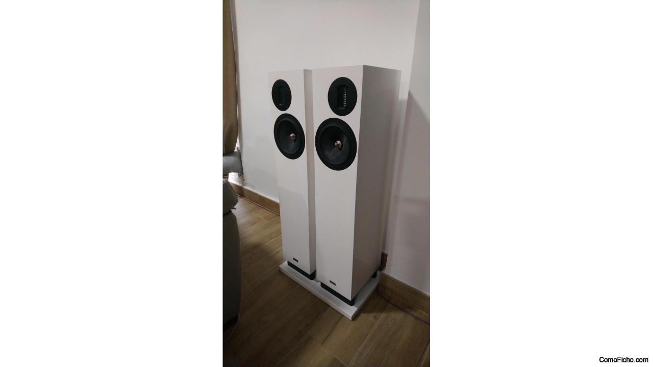 Cajas acústicas ProAc D-20R