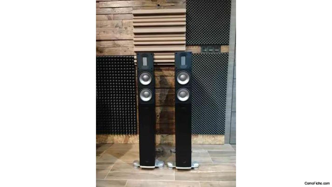 Altavoces Raidho Acoustics X2T