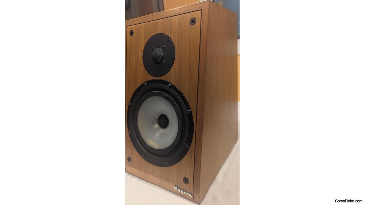Altavoces Monitores Rogers P20