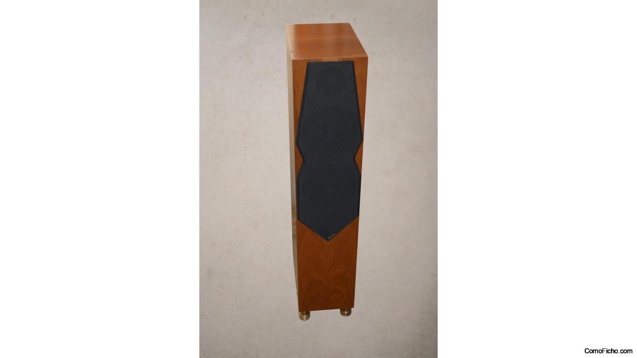 Avalon Acoustics NP Altavoces