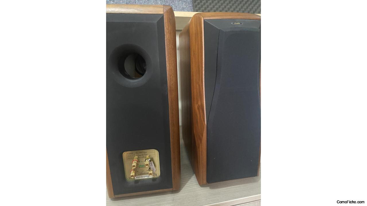 Chario Academy Millenium 2