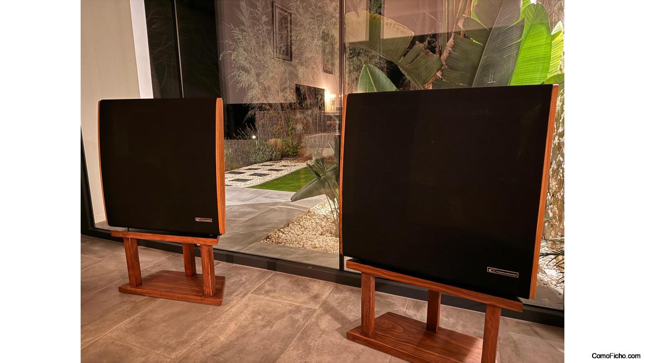 Altavoces Dahlquist DQ10