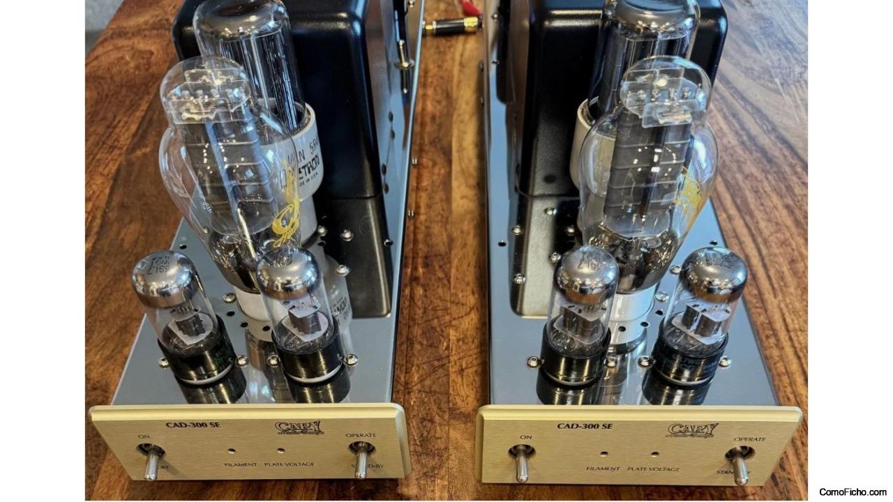 Cary CAD 300 SE monobloques